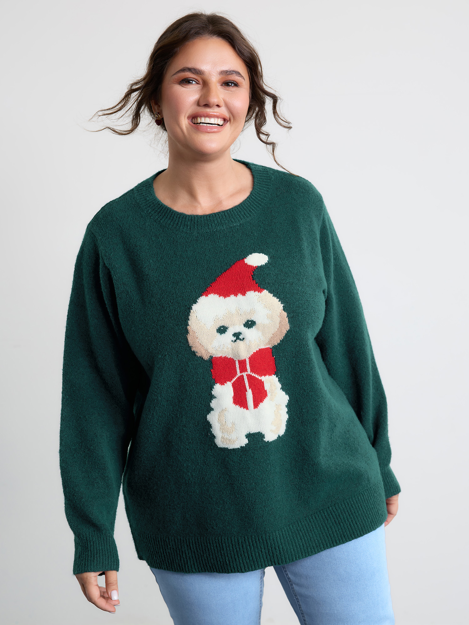 BloomChic Women's Plus Size Festive Puppy Jacquard Pattern Pullover DarkSlateGray Christmas Long Sleeve 10/M